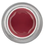 Gel Painting Tones 5ml #Cor 8