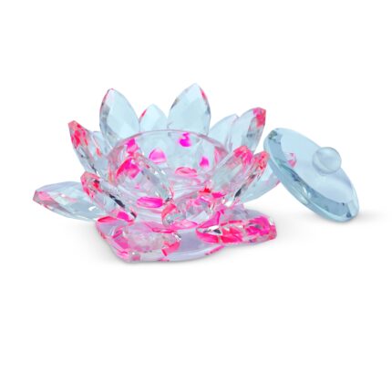 Dappen Flor de Lótus Rosa